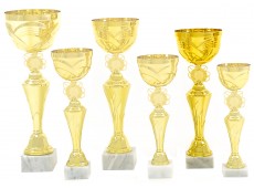 Cupă Standard - 4923 C
